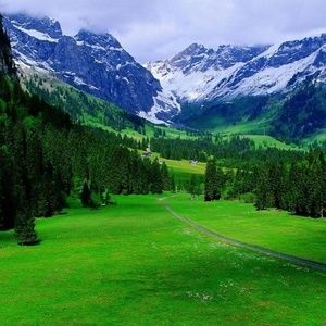 Meet your Posher, J.r.